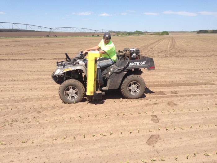 GPS student in the field